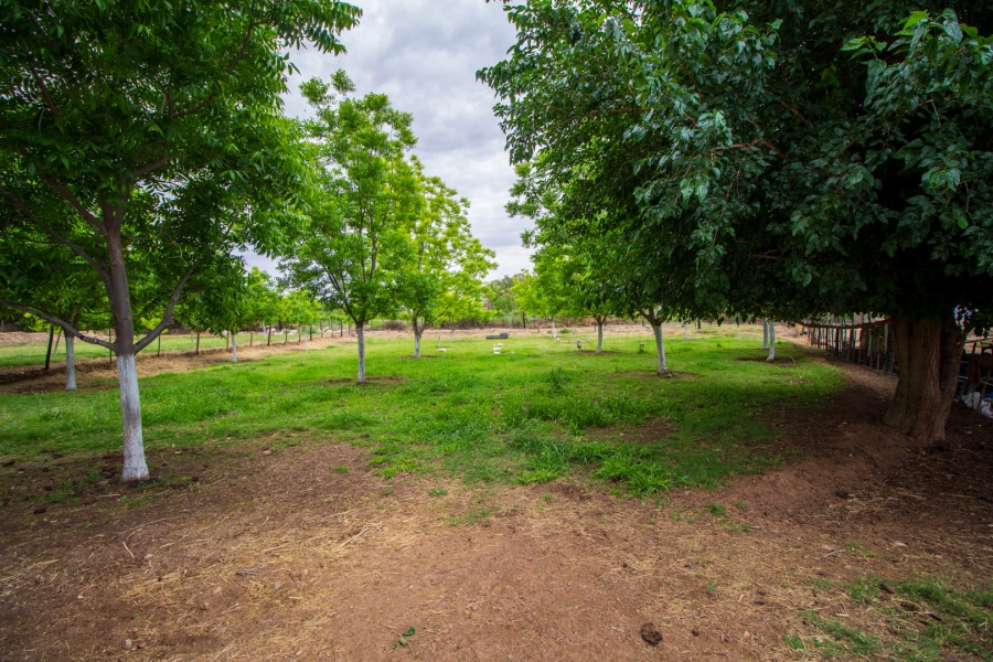 5 Bedroom Property for Sale in Louisvale Northern Cape